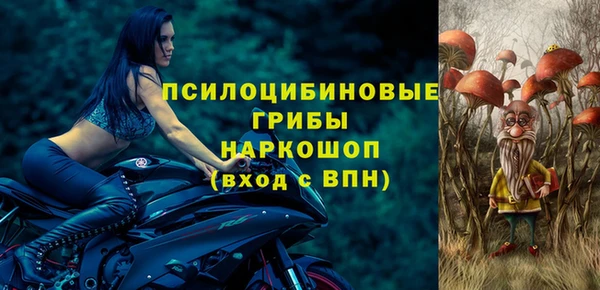 apvp Абинск