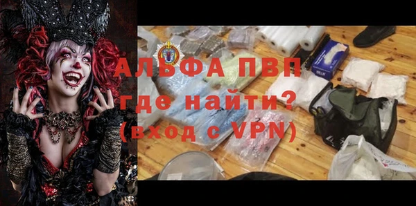 СК Алексин