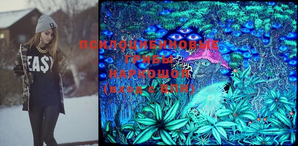 СК Алзамай