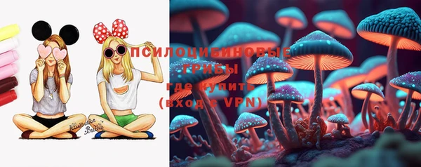 хмурый Апатиты