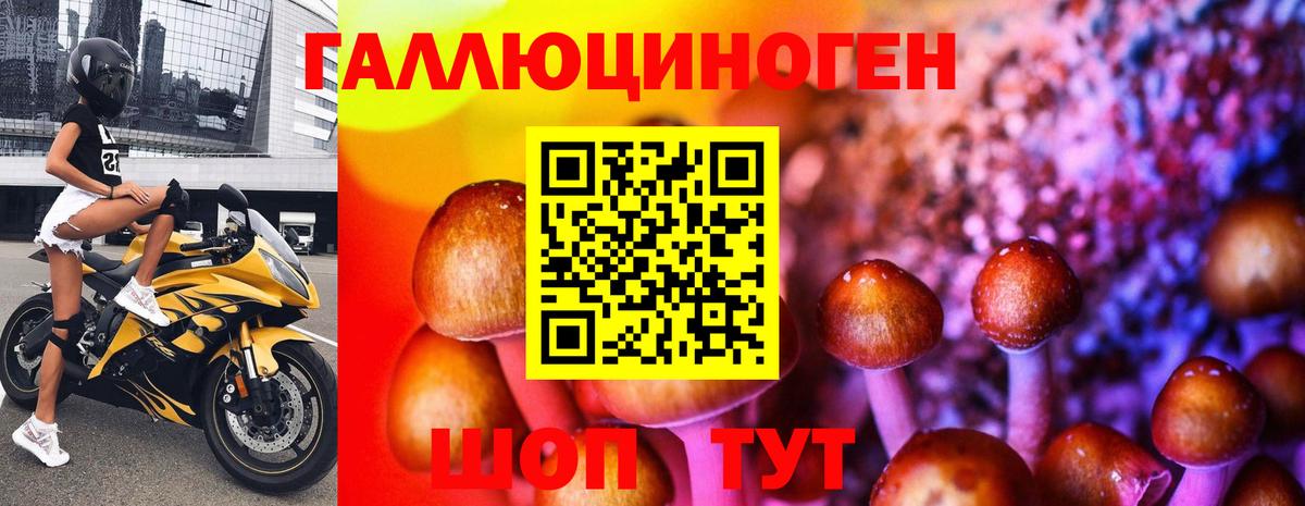 где можно купить наркотик  Псилоцибиновые грибы Psilocybine cubensis  Вход с VPN  Алексин 